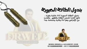 بندول الطاقة الحيوية